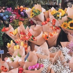 Meet your Posher, Ashlee